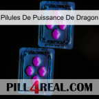Dragon Power Pills 03